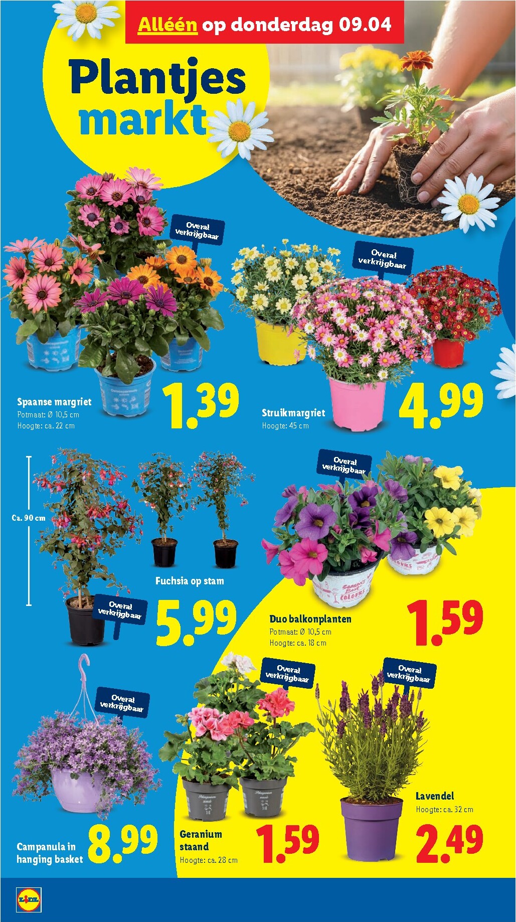 lidl - De Lidl folder geldig vanaf 07-04-2026 t/m 12-04-2026 - page: 35