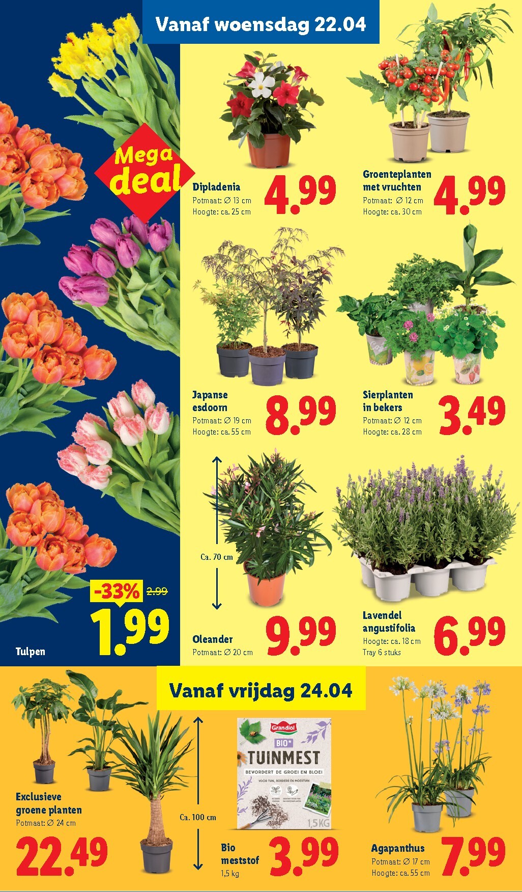 lidl - Huidige Lidl folder geldig van maandag 20-04-2026 tot zondag 26-04-2026 - page: 24