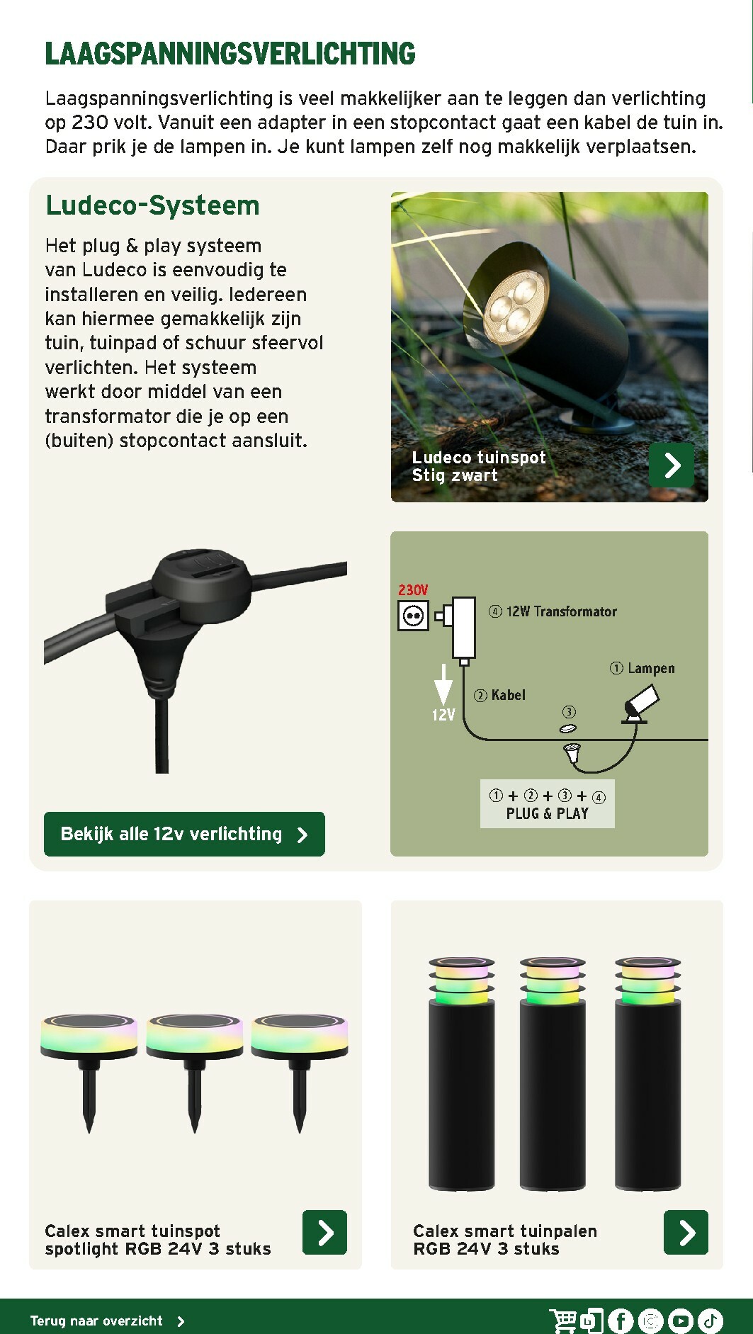 gamma - De Gamma - Tuinmagazine voor het najaar folder geldig vanaf 16-10 t/m 31-12 - page: 12