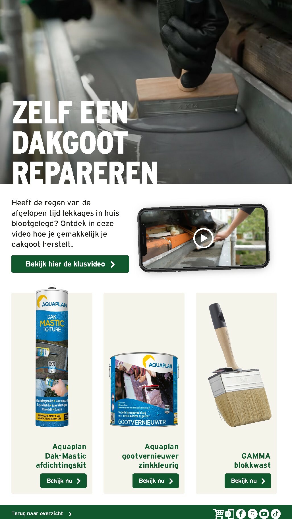 gamma - De Gamma - Tuinmagazine voor het najaar folder geldig vanaf 16-10 t/m 31-12 - page: 8