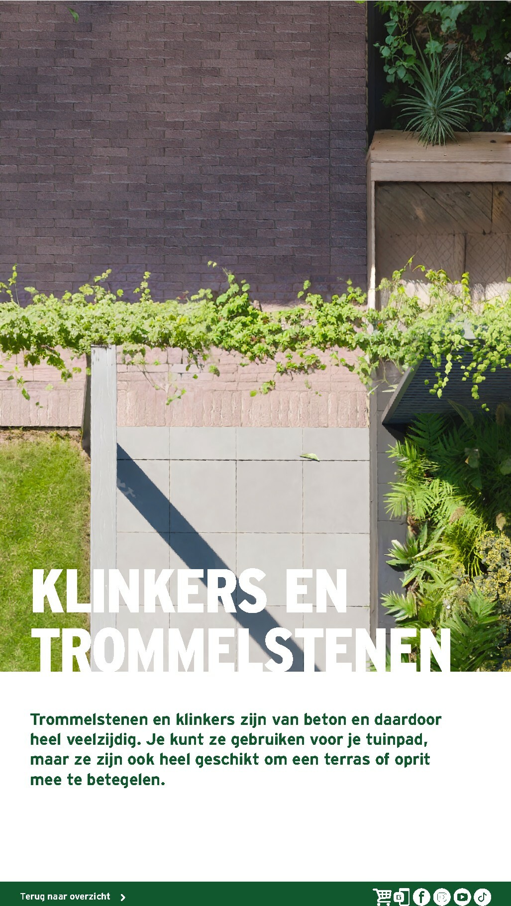 gamma - De Gamma - Tuinmagazine voor het najaar folder geldig vanaf 16-10 t/m 31-12 - page: 21