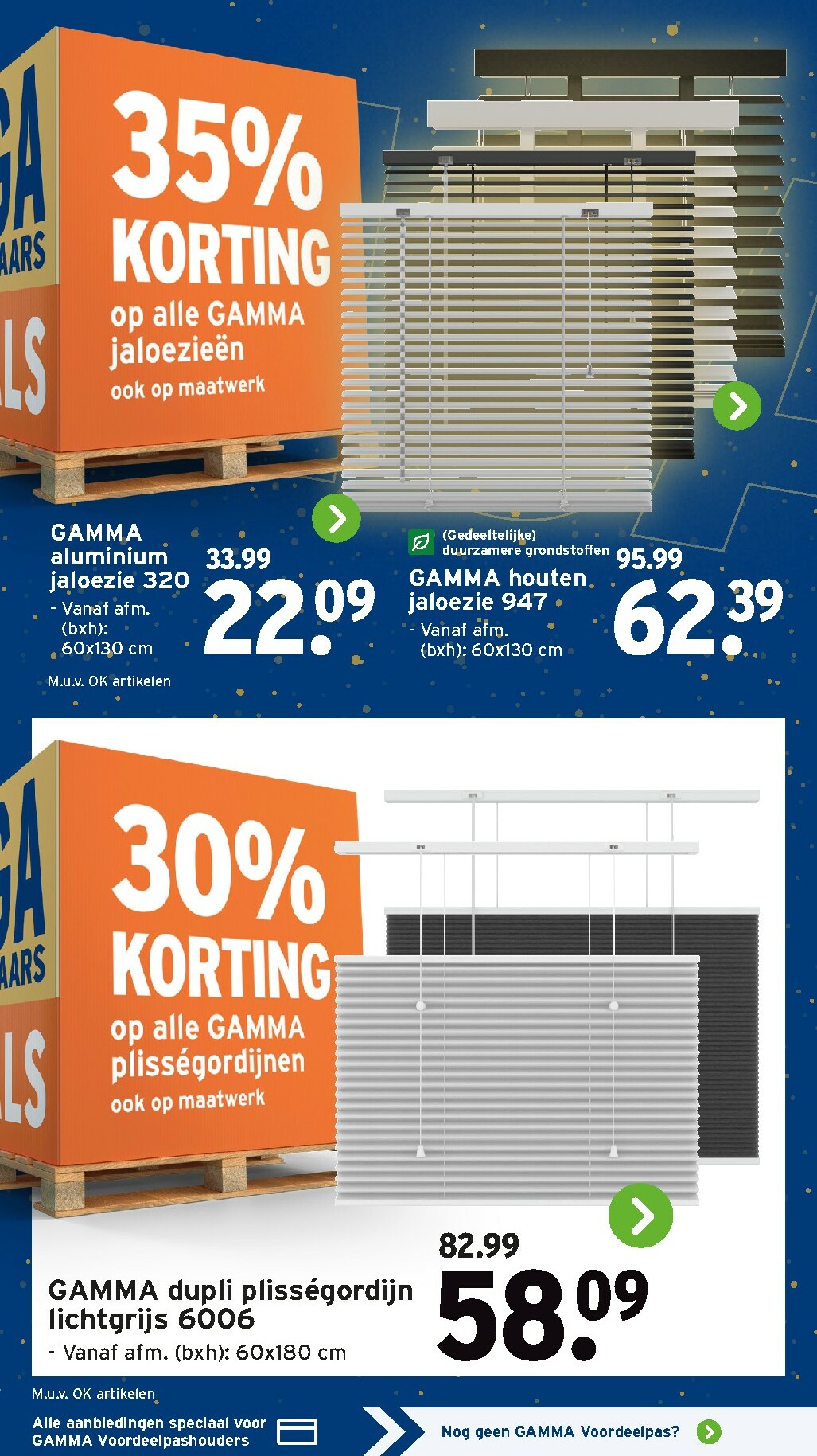 gamma - De Gamma folder geldig vanaf 29-12 t/m 04-01 - page: 11