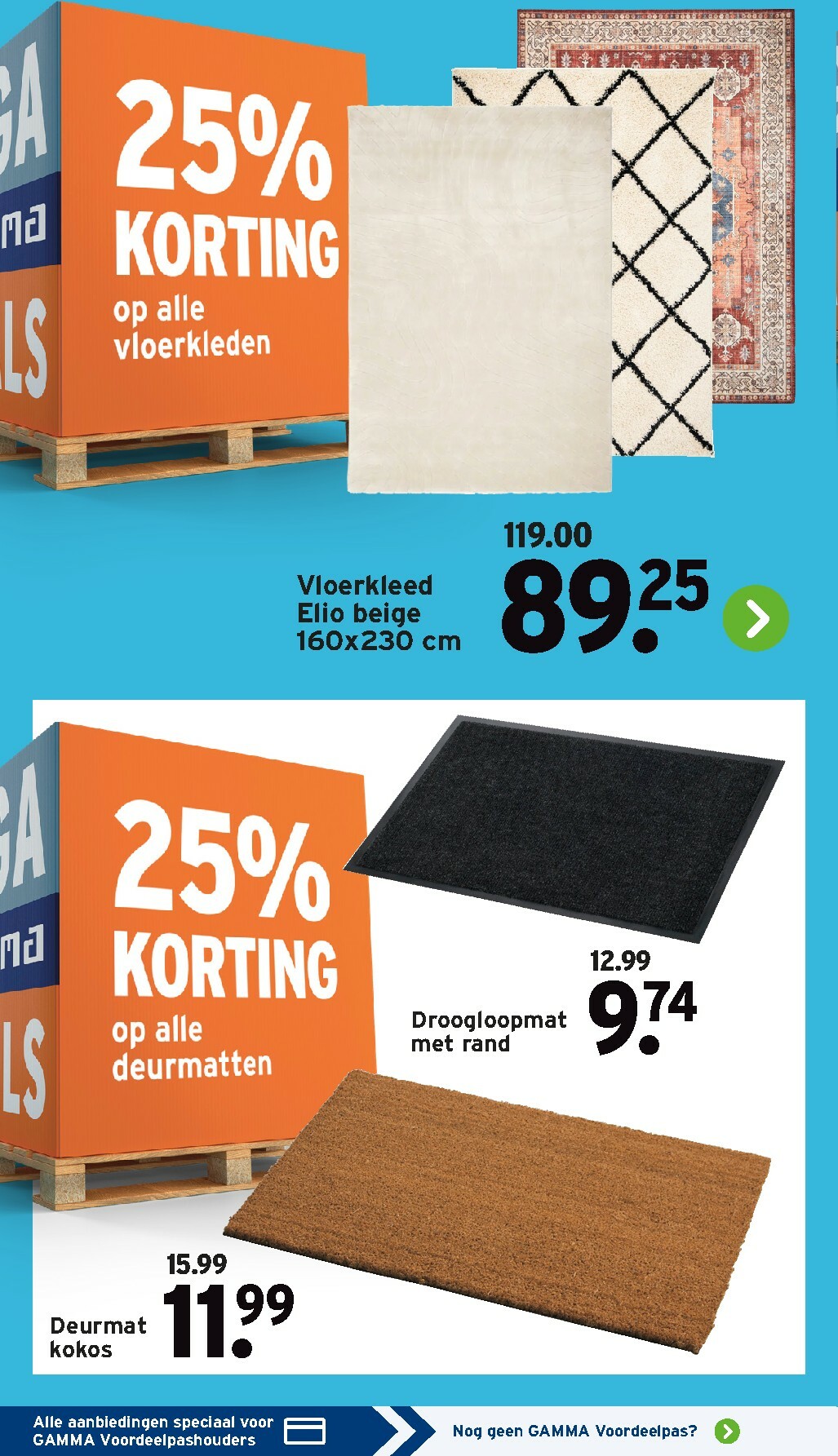 gamma - De Gamma folder geldig vanaf 05-01 t/m 18-01 - page: 4