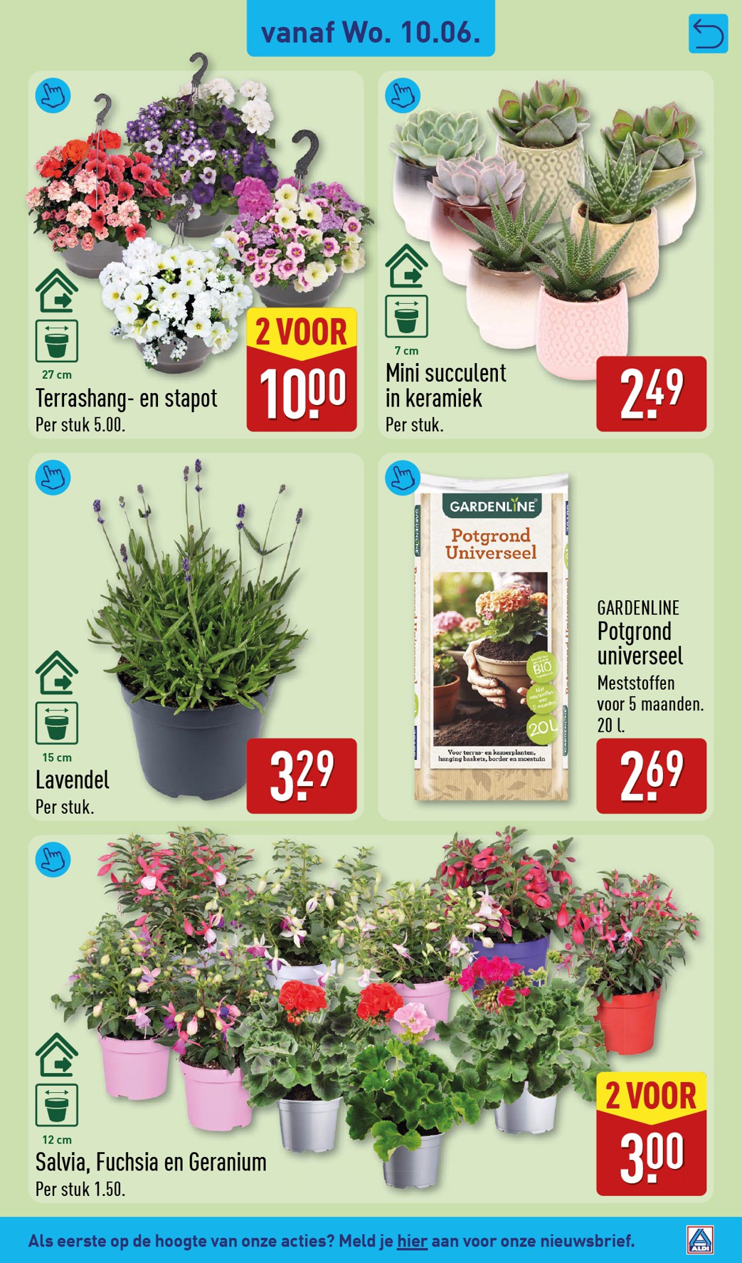 aldi - ALDI folder voor volgende week van maandag 08-06-2026 tot zondag 14-06-2026 - page: 31