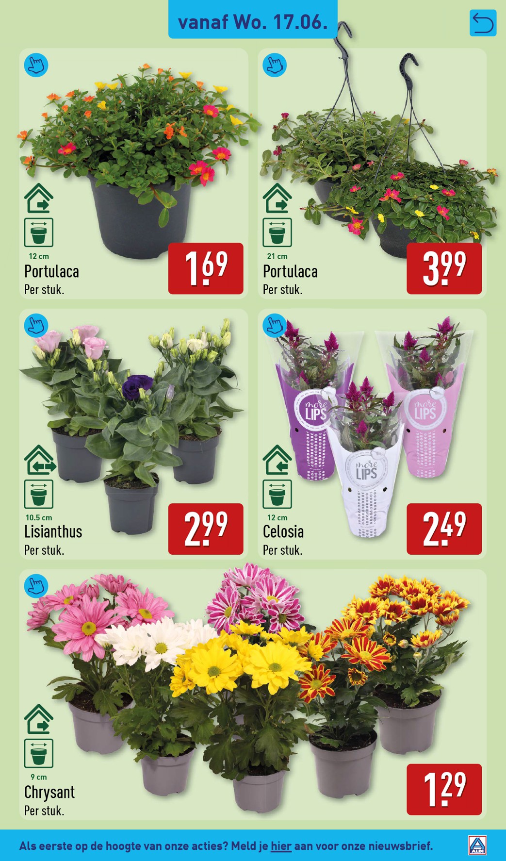 aldi - ALDI folder voor volgende week van maandag 15-06-2026 tot zondag 21-06-2026 - page: 41