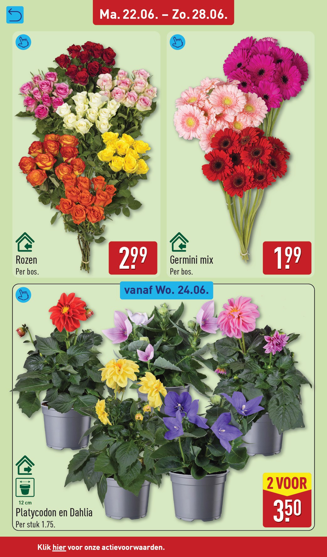 aldi - ALDI folder voor volgende week van maandag 22-06-2026 tot zondag 28-06-2026 - page: 38