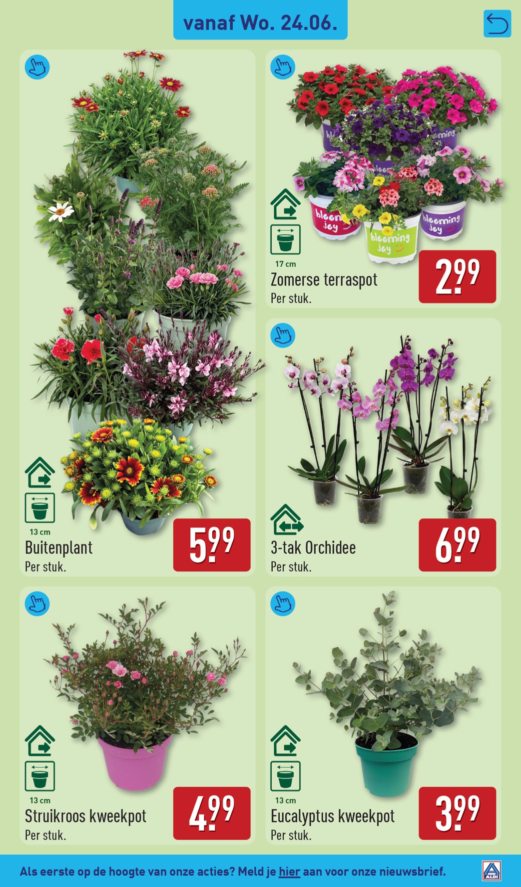 aldi - ALDI folder voor volgende week van maandag 22-06-2026 tot zondag 28-06-2026 - page: 39