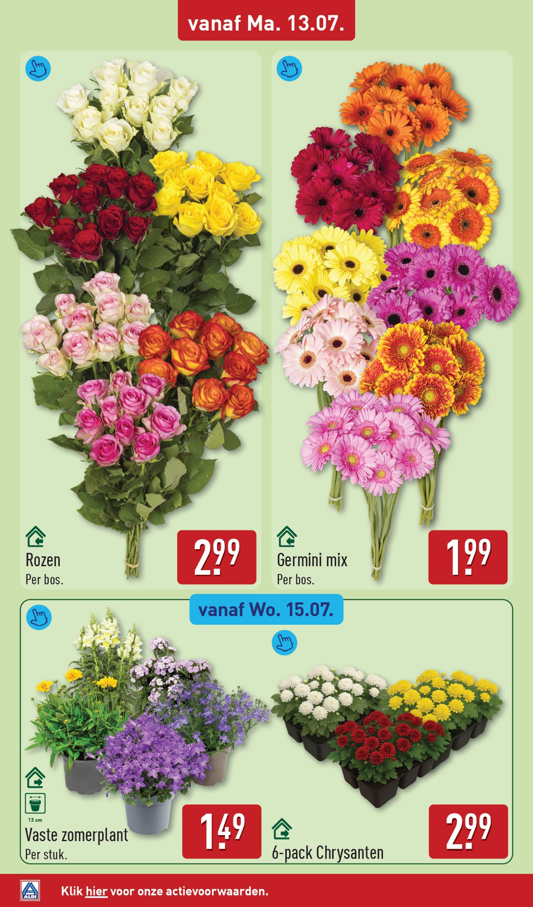 aldi - ALDI folder voor volgende week van maandag 13-07-2026 tot zondag 19-07-2026 - page: 42