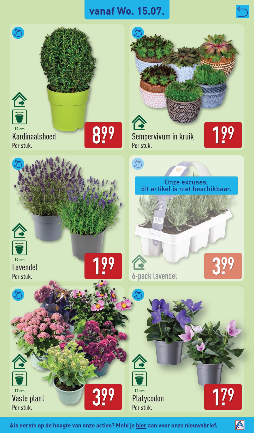 aldi - ALDI folder voor volgende week van maandag 13-07-2026 tot zondag 19-07-2026 - page: 43