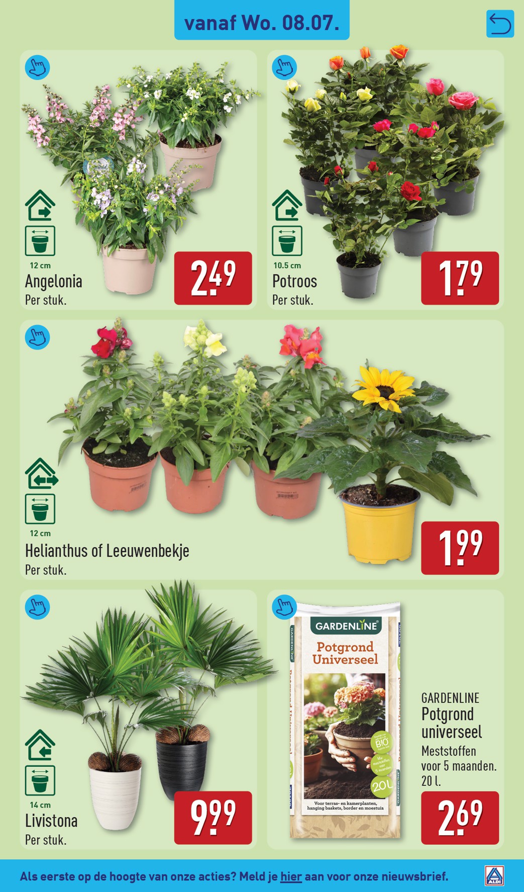 aldi - Huidige ALDI folder geldig van maandag 06-07-2026 tot zondag 12-07-2026 - page: 37