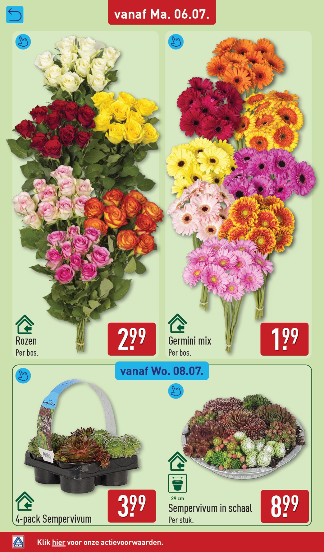 aldi - Huidige ALDI folder geldig van maandag 06-07-2026 tot zondag 12-07-2026 - page: 36