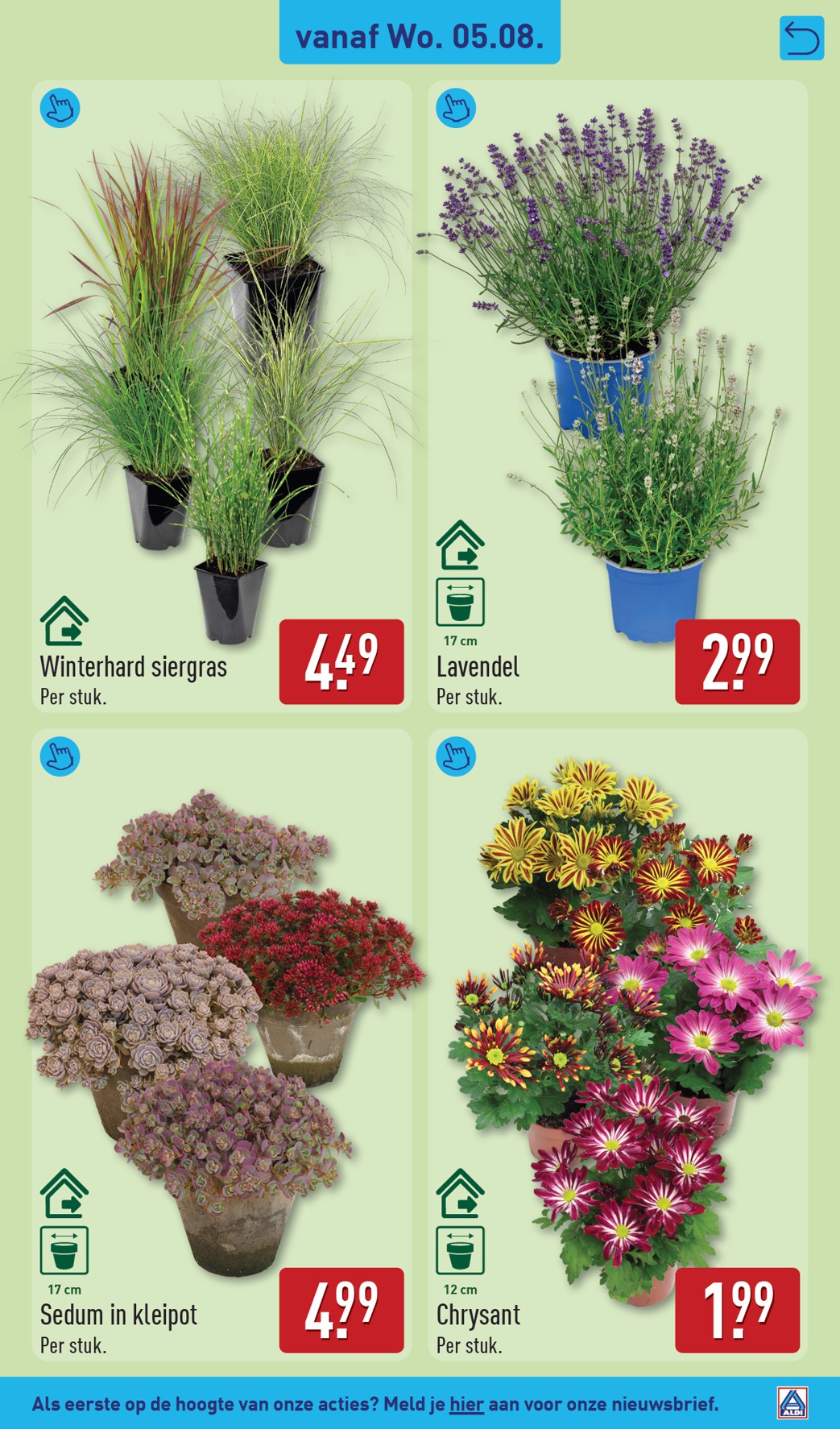 aldi - ALDI folder voor volgende week van maandag 03-08-2026 tot zondag 09-08-2026 - page: 31