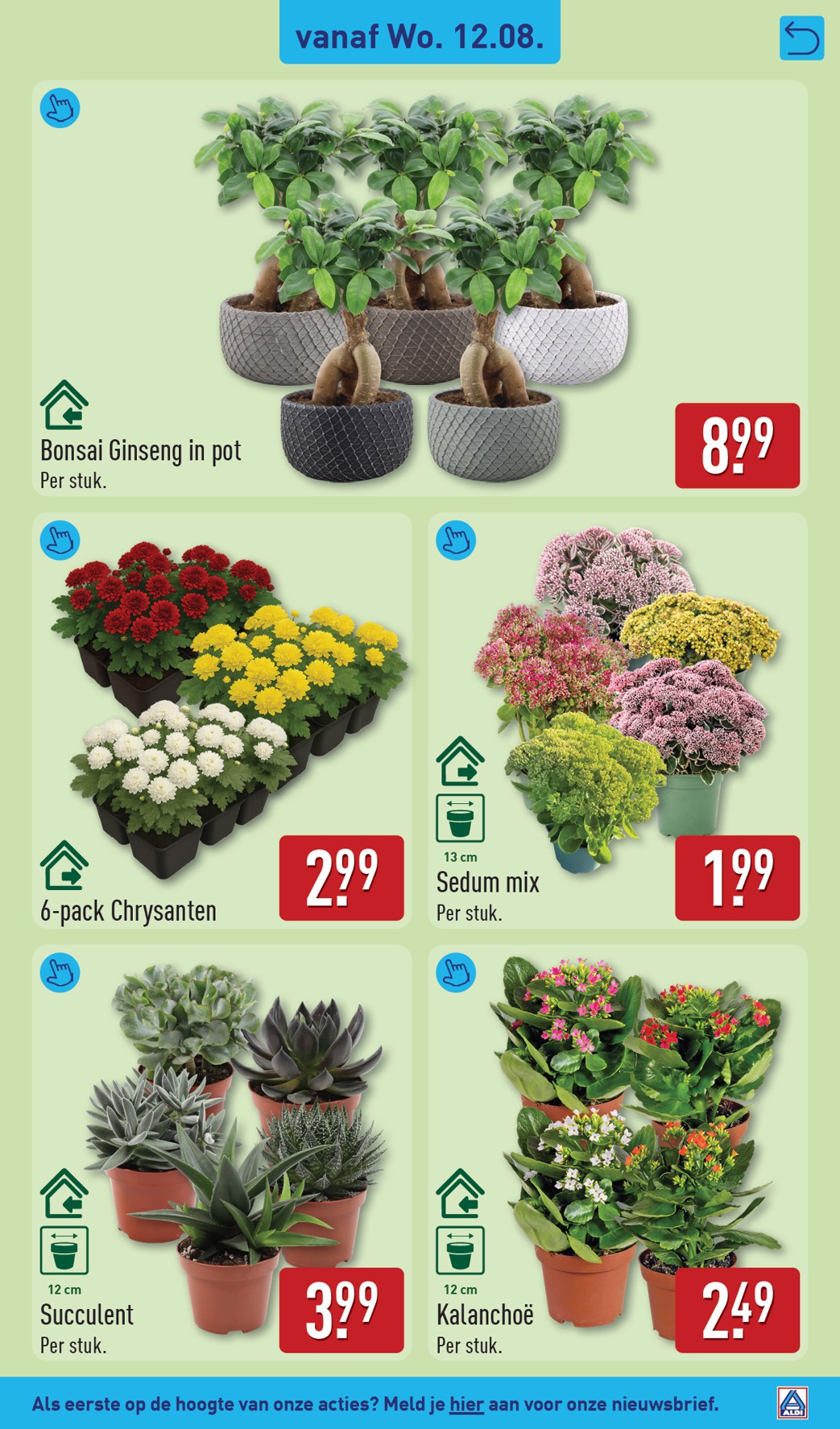 aldi - ALDI folder voor volgende week van maandag 10-08-2026 tot zondag 16-08-2026 - page: 31