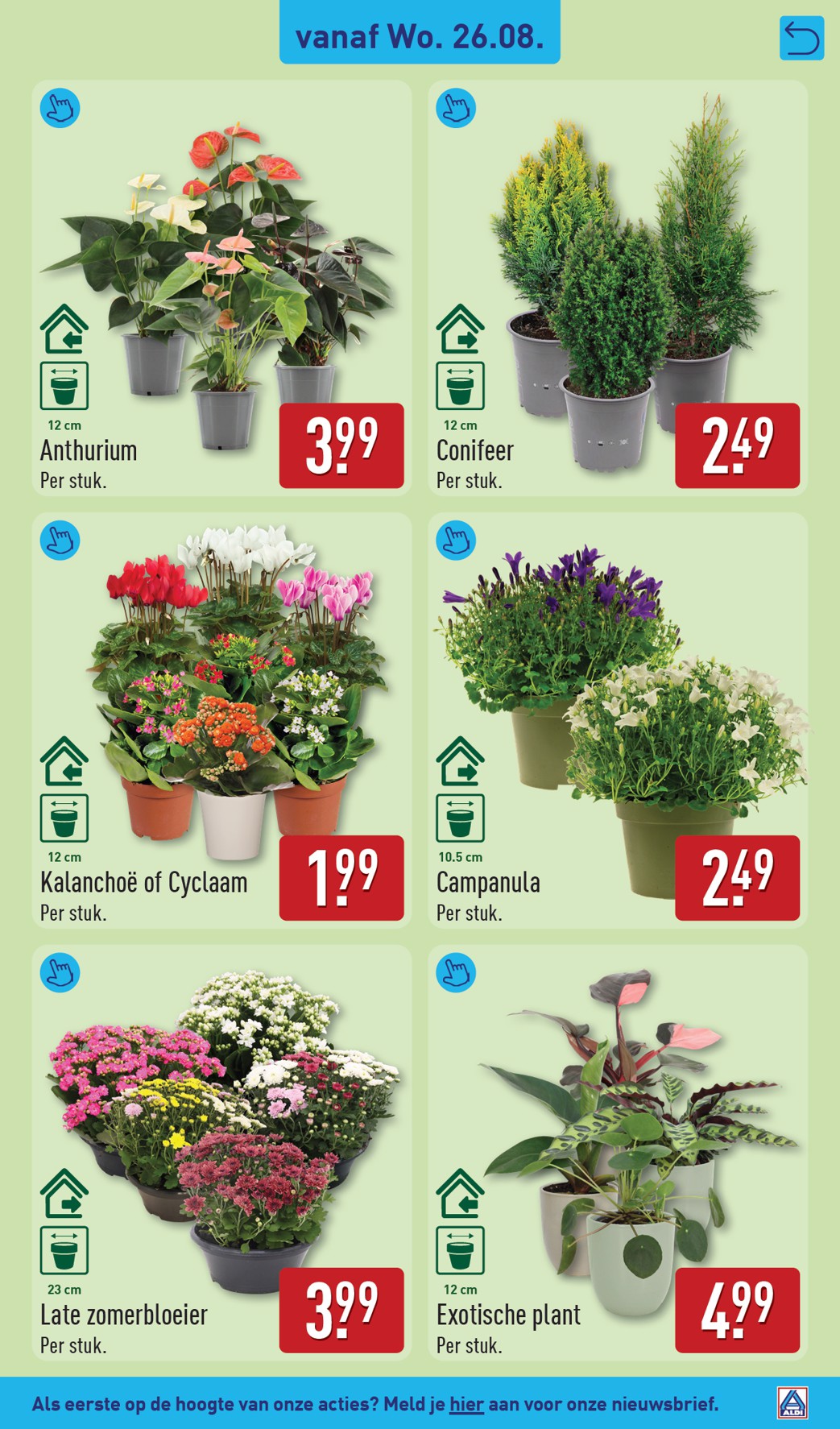 aldi - ALDI folder voor volgende week van maandag 24-08-2026 tot zondag 30-08-2026 - page: 47