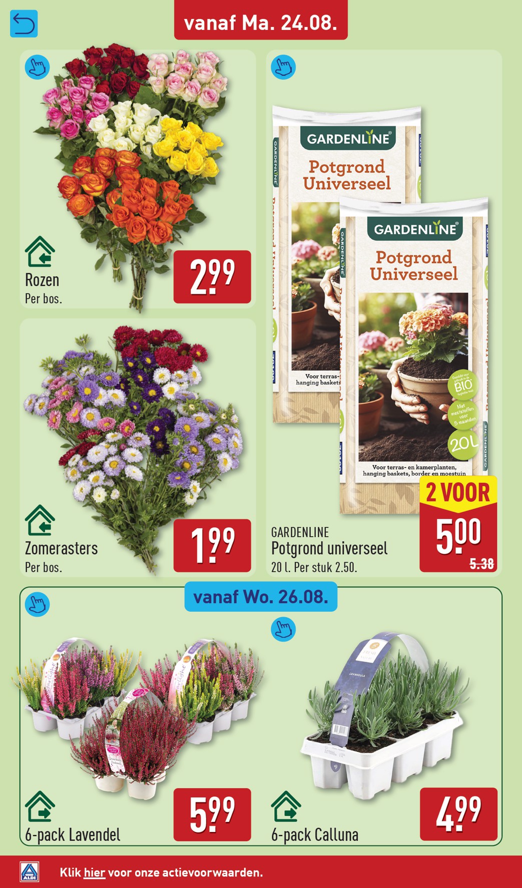 aldi - ALDI folder voor volgende week van maandag 24-08-2026 tot zondag 30-08-2026 - page: 46