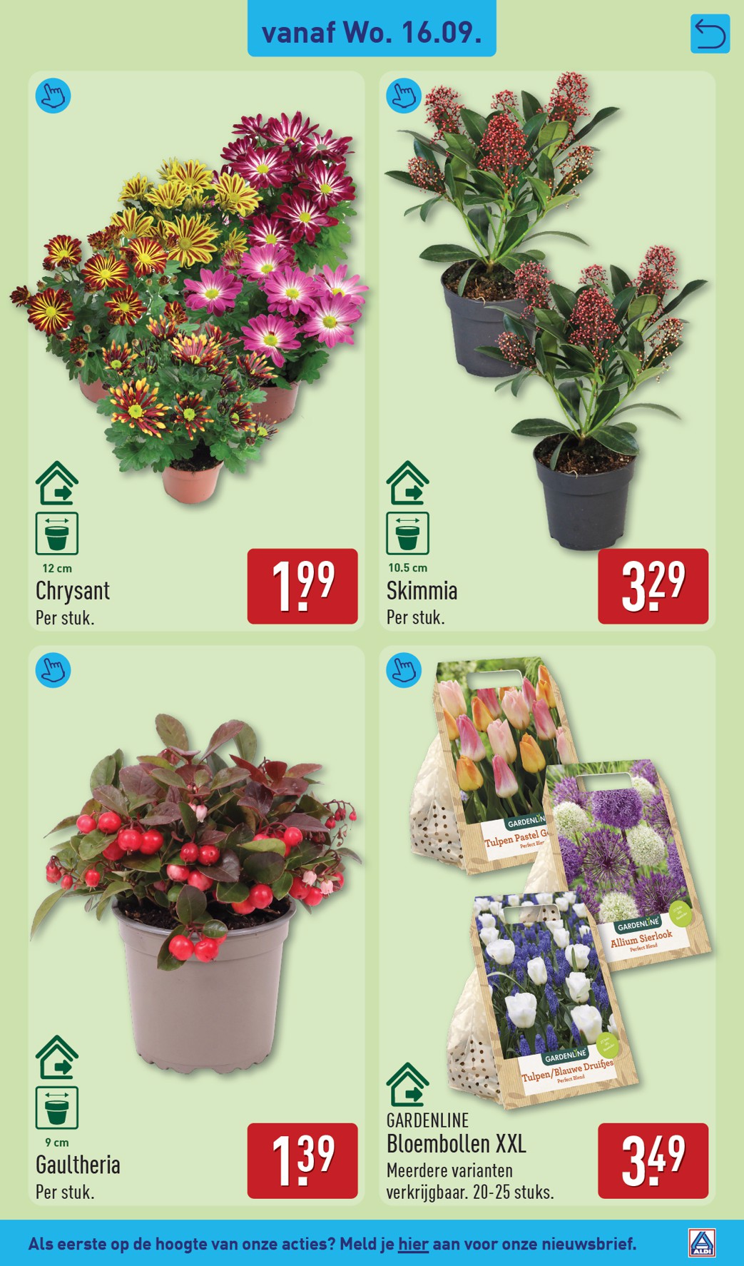 aldi - ALDI folder voor volgende week van maandag 14-09-2026 tot zondag 20-09-2026 - page: 33
