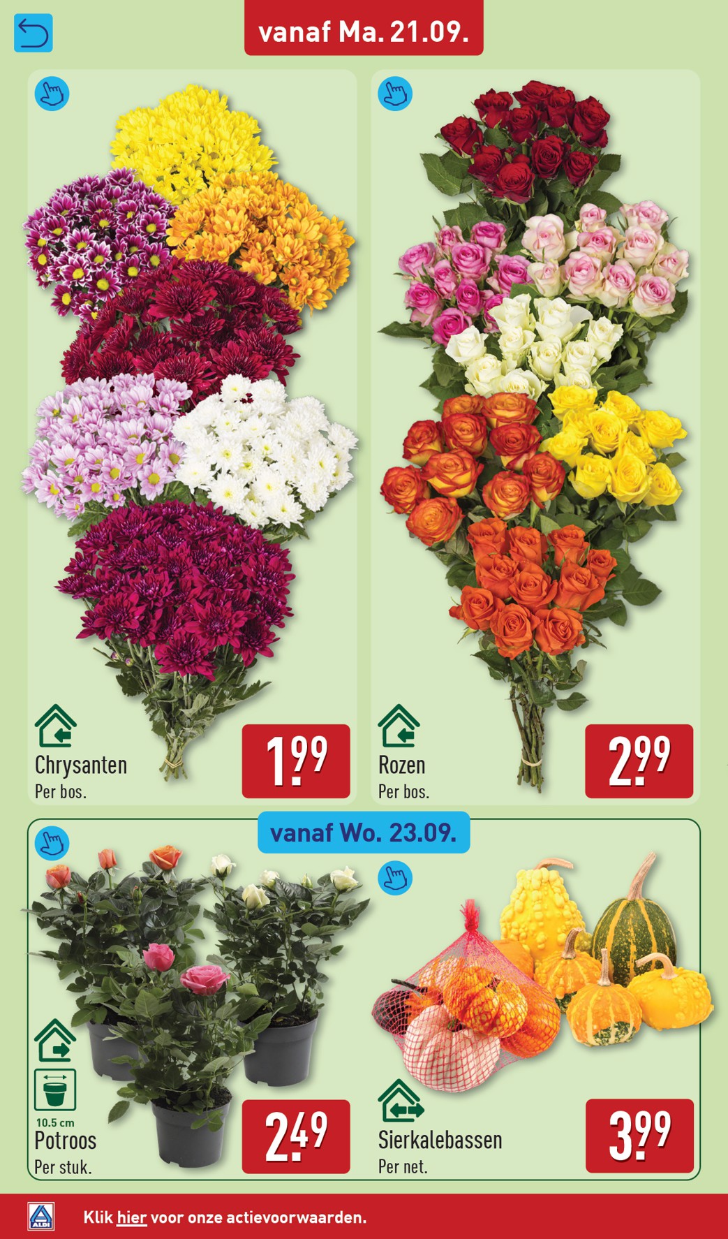 aldi - ALDI folder voor volgende week van maandag 21-09-2026 tot zondag 27-09-2026 - page: 44