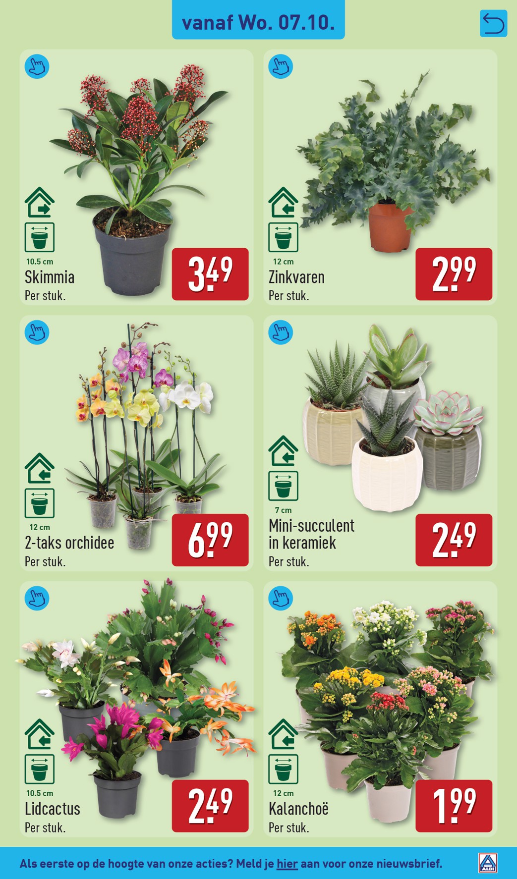 aldi - ALDI folder voor volgende week van maandag 05-10-2026 tot zondag 11-10-2026 - page: 39