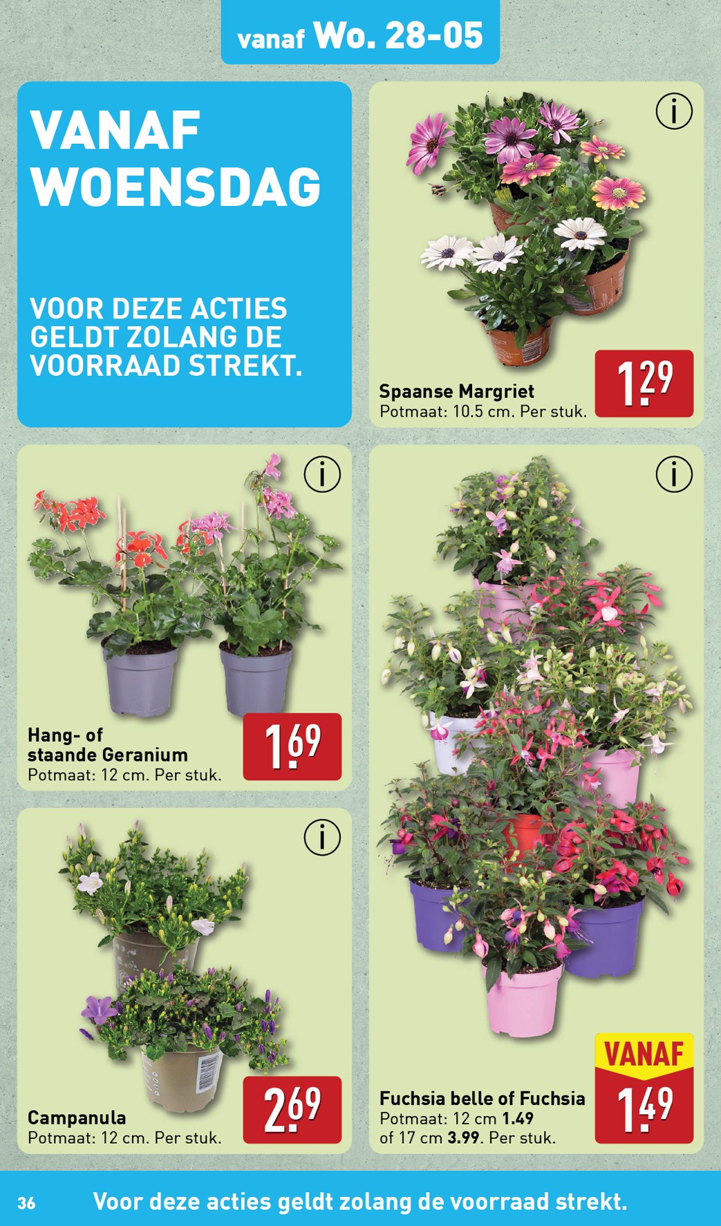 aldi - ALDI folder geldig vanaf 26-05 t/m 01-06 - page: 36