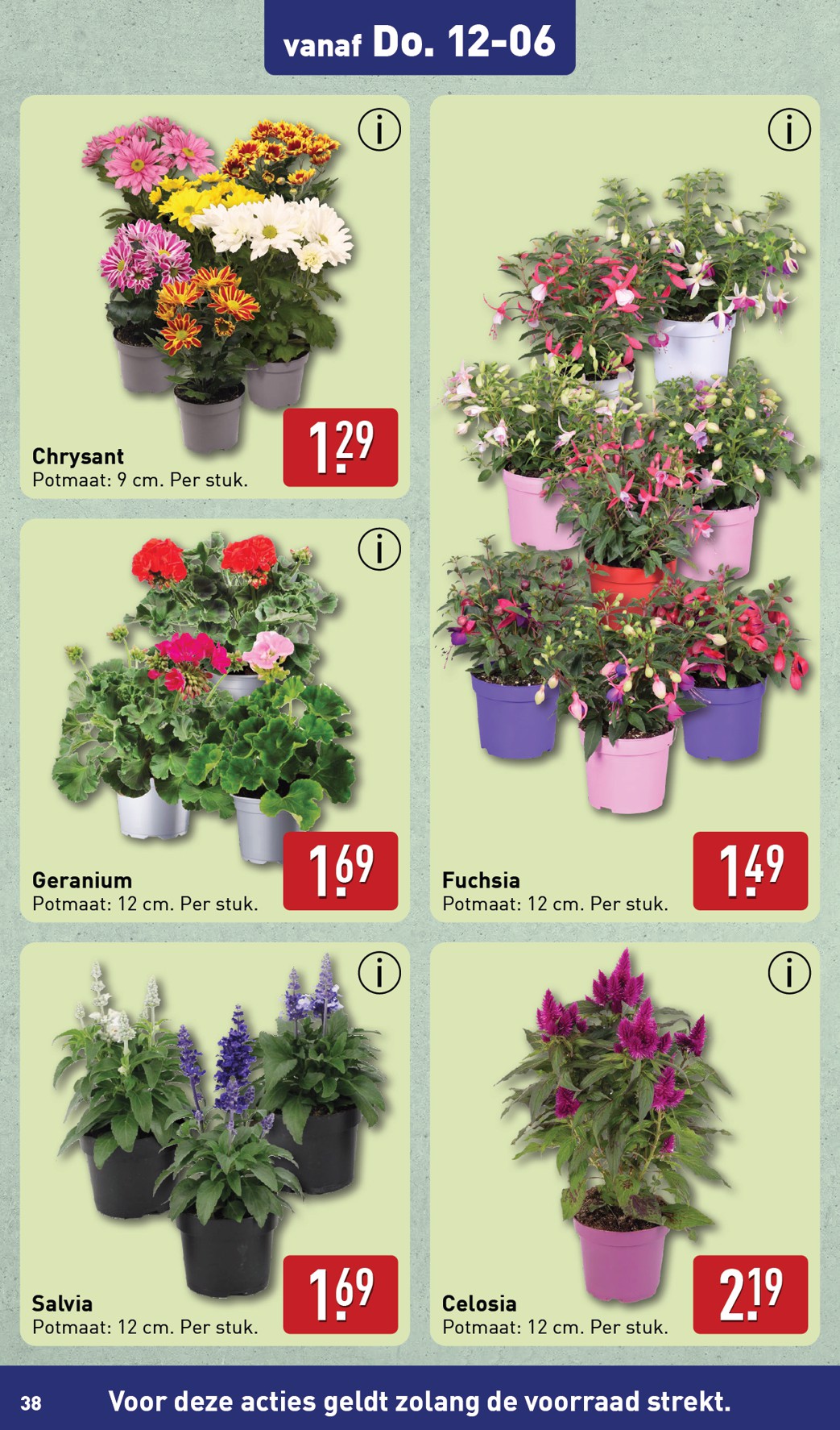 aldi - ALDI folder geldig vanaf 10-06 t/m 15-06 - page: 38