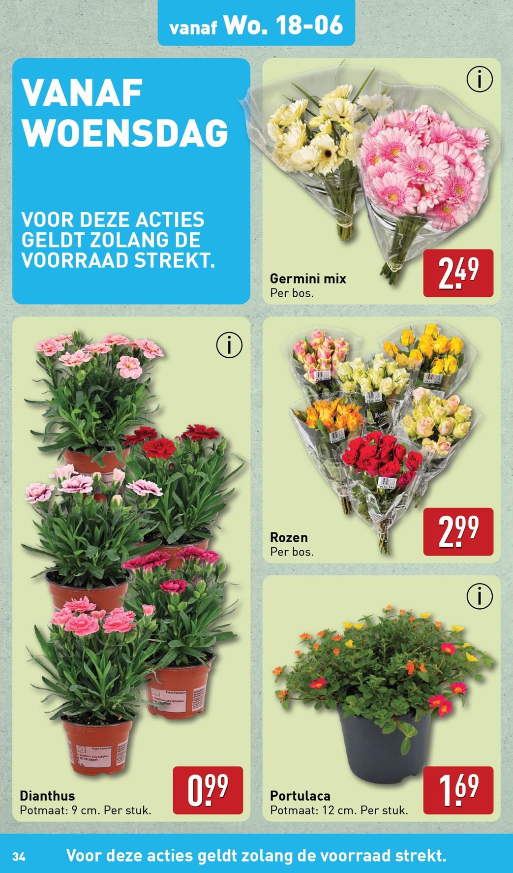 aldi - ALDI folder geldig vanaf 16-06 t/m 22-06 - page: 34