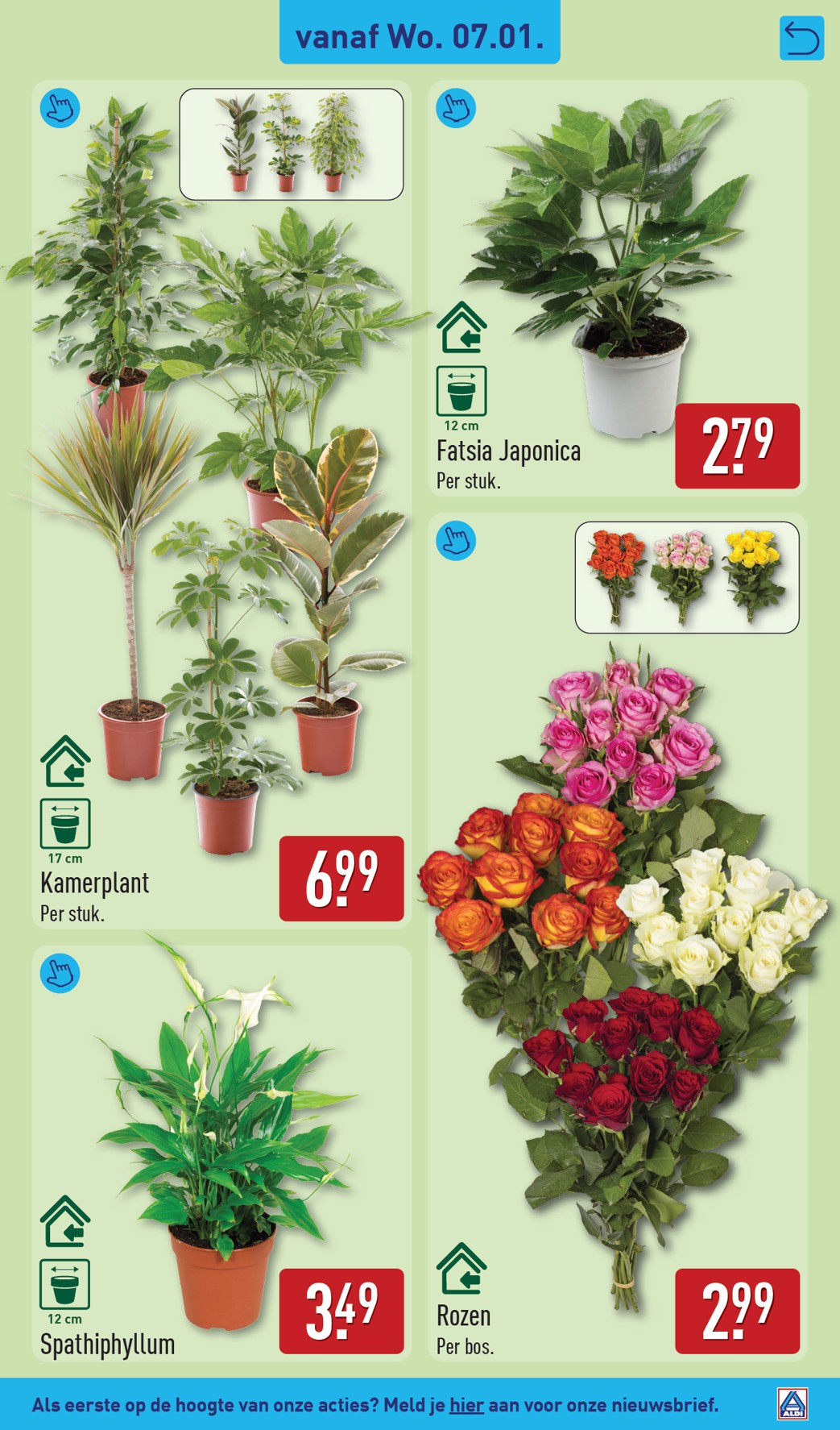 aldi - De ALDI folder geldig vanaf 05-01 t/m 11-01 - page: 33