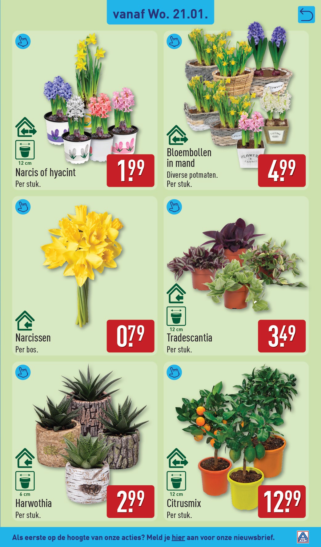 aldi - De ALDI folder geldig vanaf 19-01 t/m 25-01 - page: 27