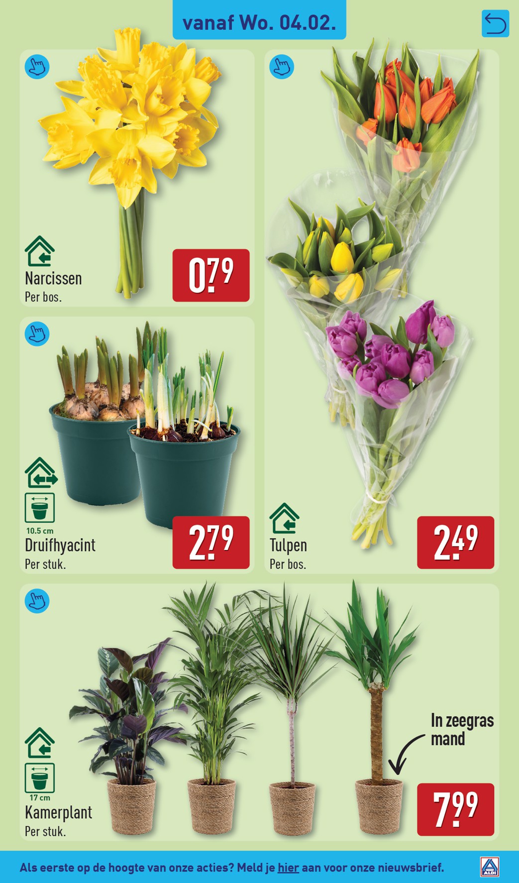 aldi - De ALDI folder geldig vanaf 02-02-2026 t/m 08-02-2026 - page: 31