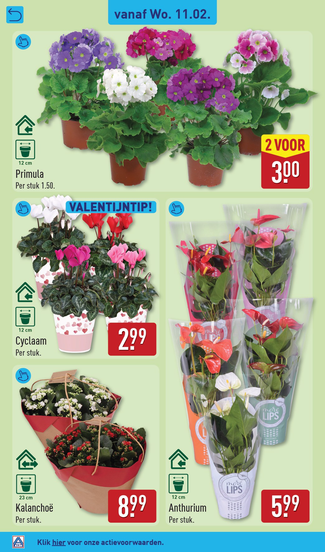 aldi - De ALDI folder geldig vanaf 09-02-2026 t/m 15-02-2026 - page: 38