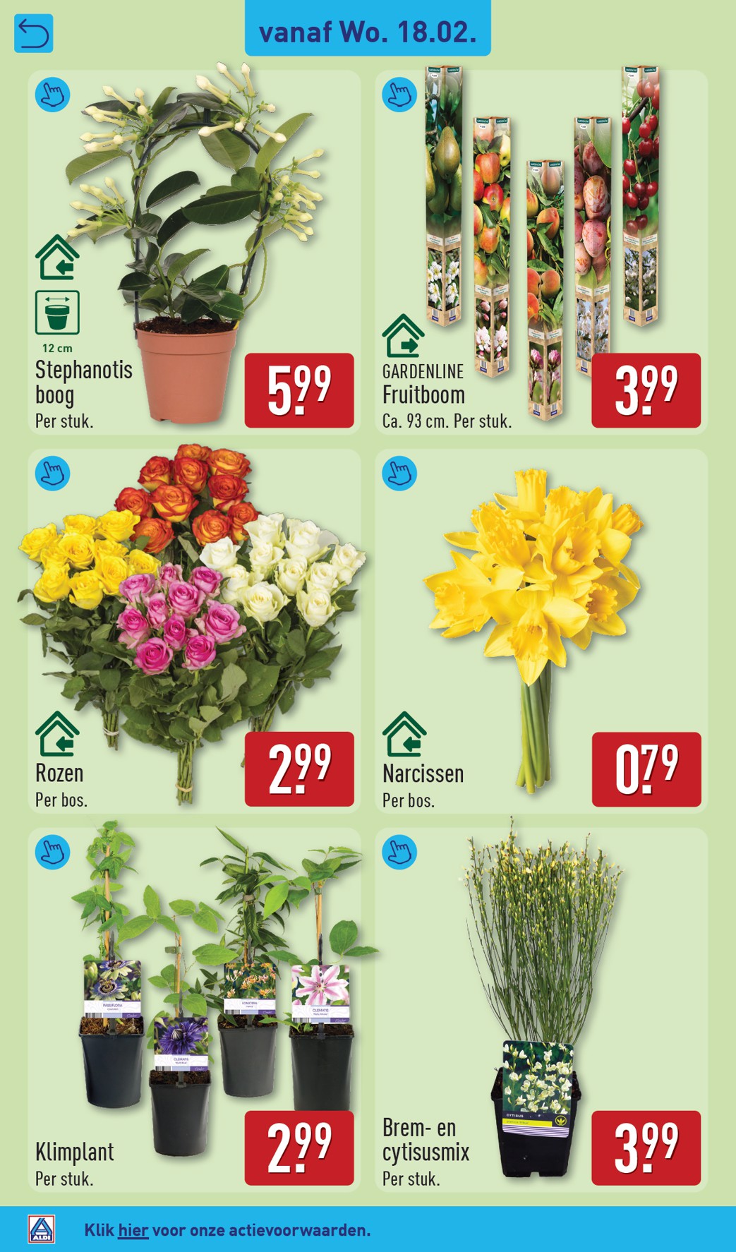 aldi - De ALDI folder geldig vanaf 16-02-2026 t/m 22-02-2026 - page: 36