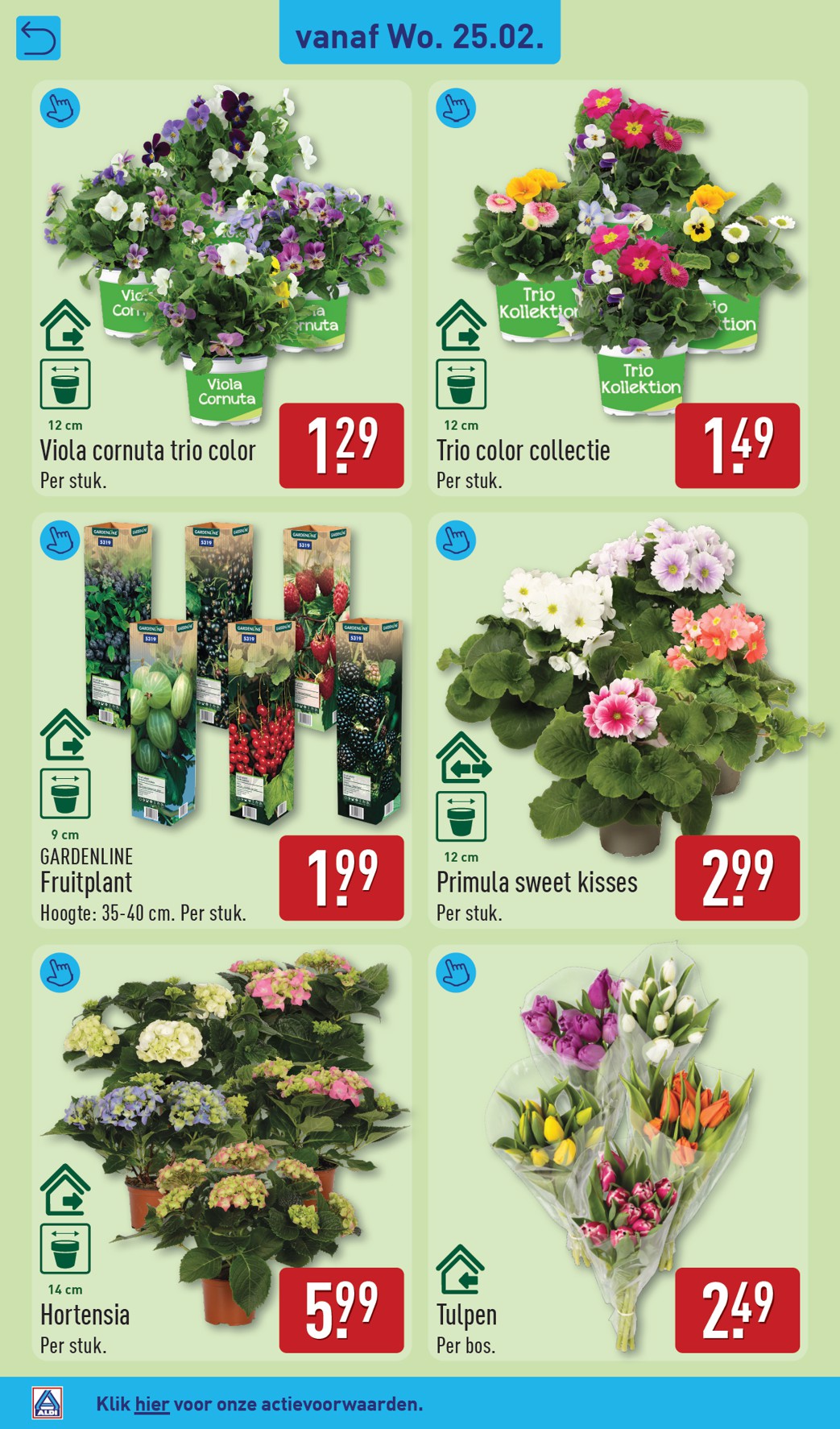 aldi - De ALDI - Non Food folder geldig vanaf 25-02-2026 t/m 01-03-2026 - page: 4