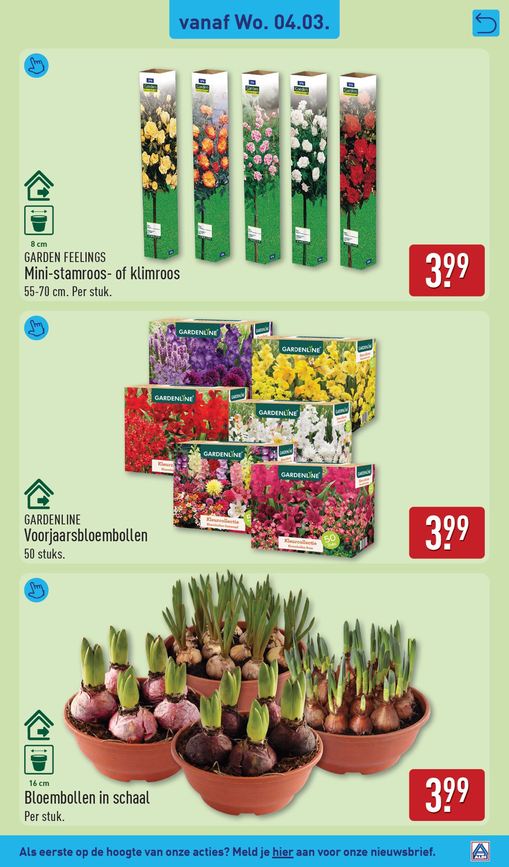 aldi - De ALDI folder geldig vanaf 02-03-2026 t/m 08-03-2026 - page: 31