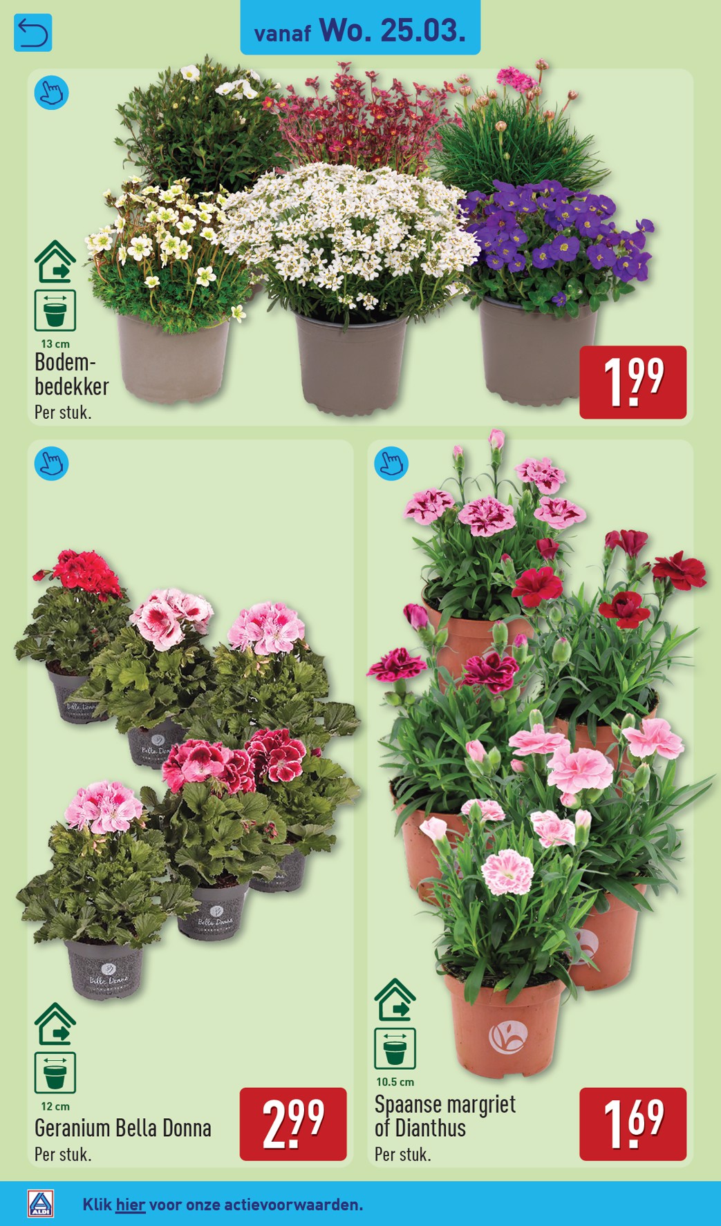aldi - De ALDI folder geldig vanaf 23-03-2026 t/m 29-03-2026 - page: 40