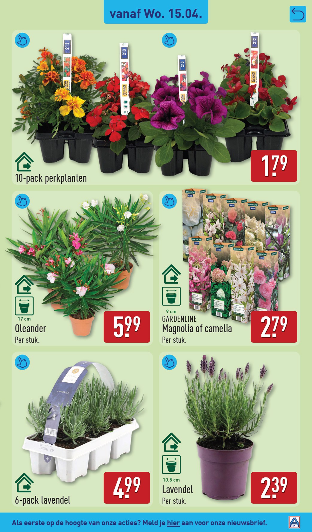 aldi - ALDI - Magnolia folder voor volgende week van maandag 13-04-2026 tot zondag 19-04-2026 - page: 41