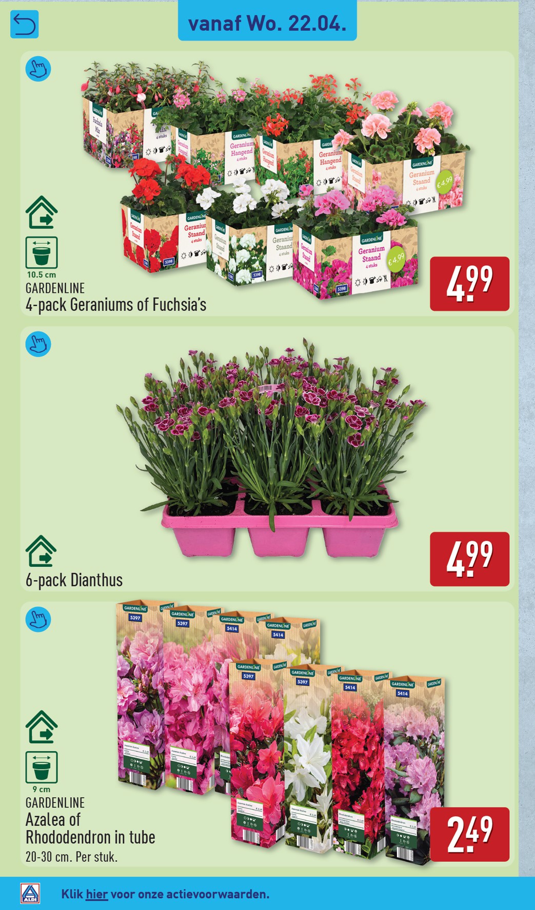 aldi - ALDI folder voor volgende week van maandag 20-04-2026 tot zondag 26-04-2026 - page: 34