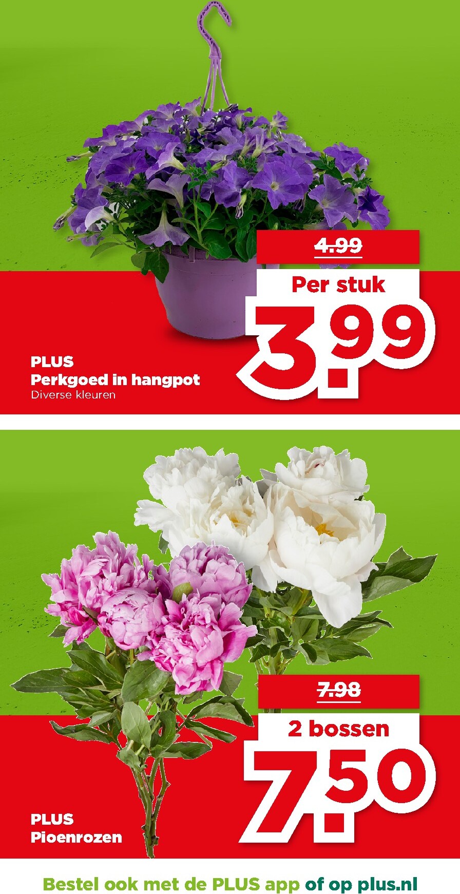 plus - PLUS folder voor volgende week van woensdag 03-06-2026 tot dinsdag 09-06-2026 - page: 37