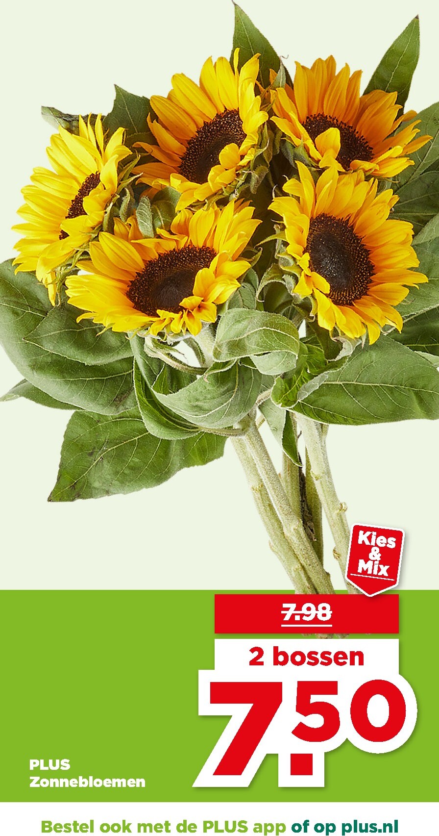 plus - PLUS - Folder volgende week folder voor volgende week van woensdag 08-07-2026 tot vrijdag 31-07-2026 - page: 41