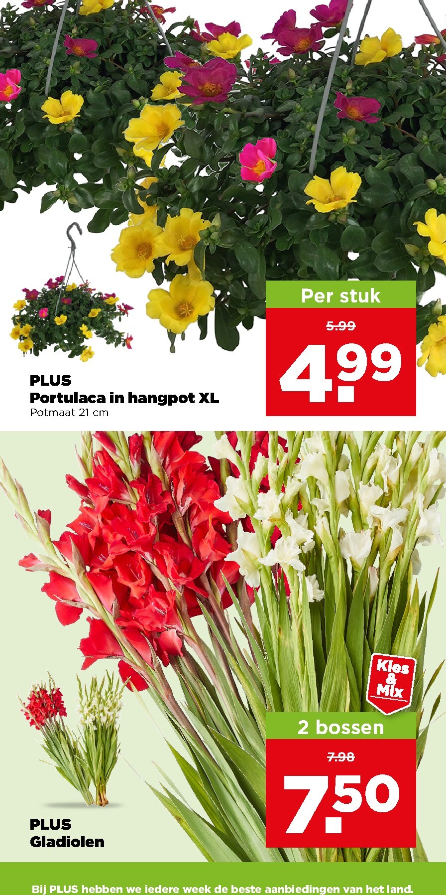 plus - PLUS folder voor volgende week van woensdag 15-07-2026 tot dinsdag 21-07-2026 - page: 39