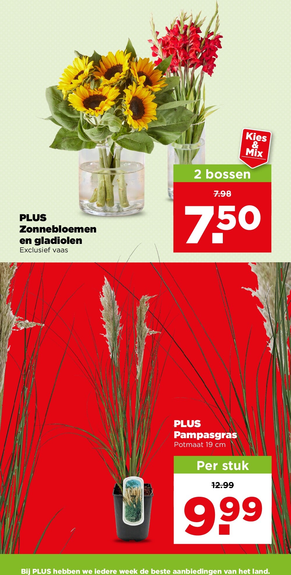 plus - PLUS folder voor volgende week van woensdag 09-09-2026 tot dinsdag 15-09-2026 - page: 41