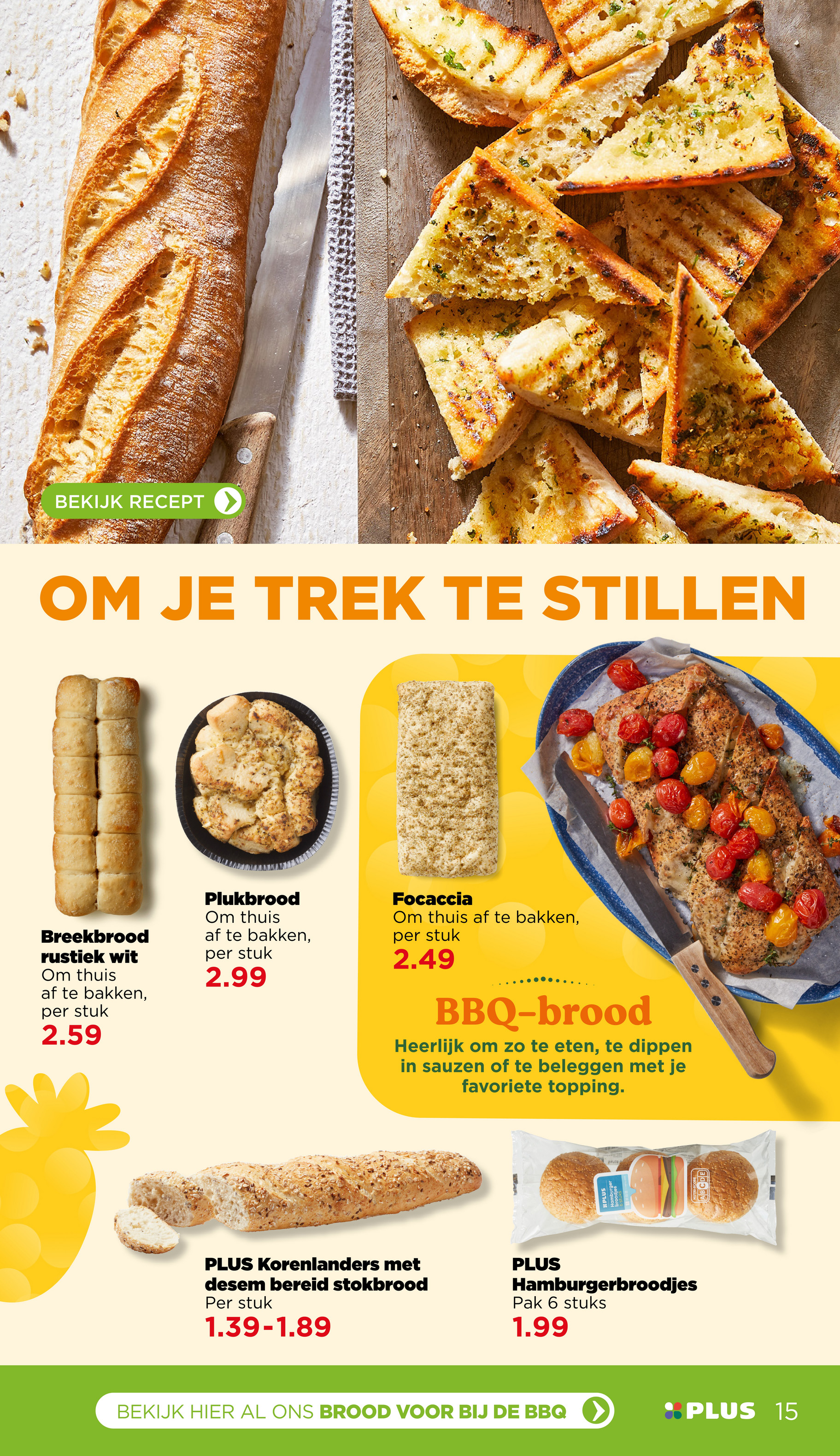 plus - PLUS - BBQ magazine folder geldig vanaf 02-05 t/m 16-09 - page: 15