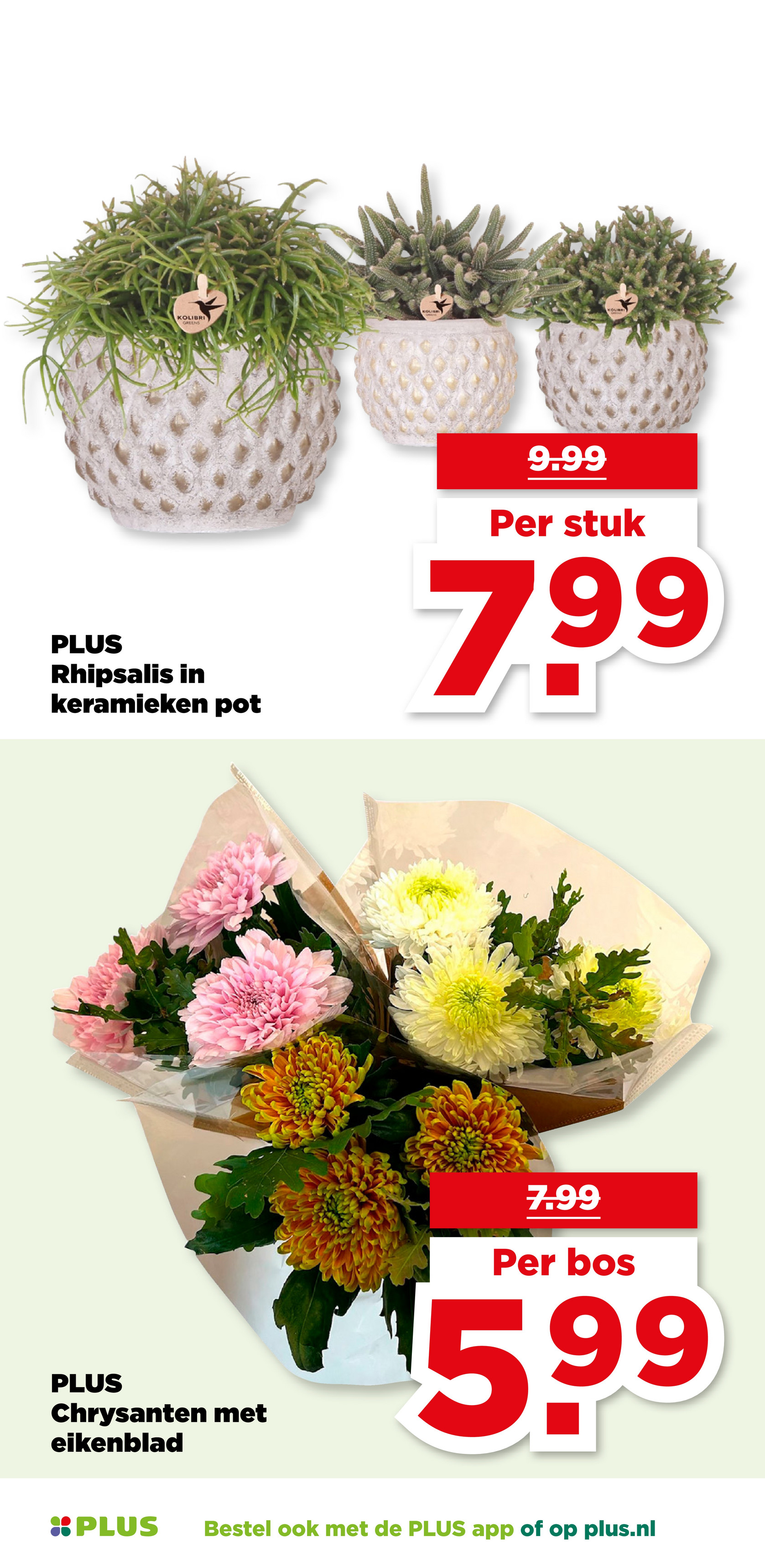 plus - De PLUS folder geldig vanaf 05-11 t/m 11-11 - page: 47