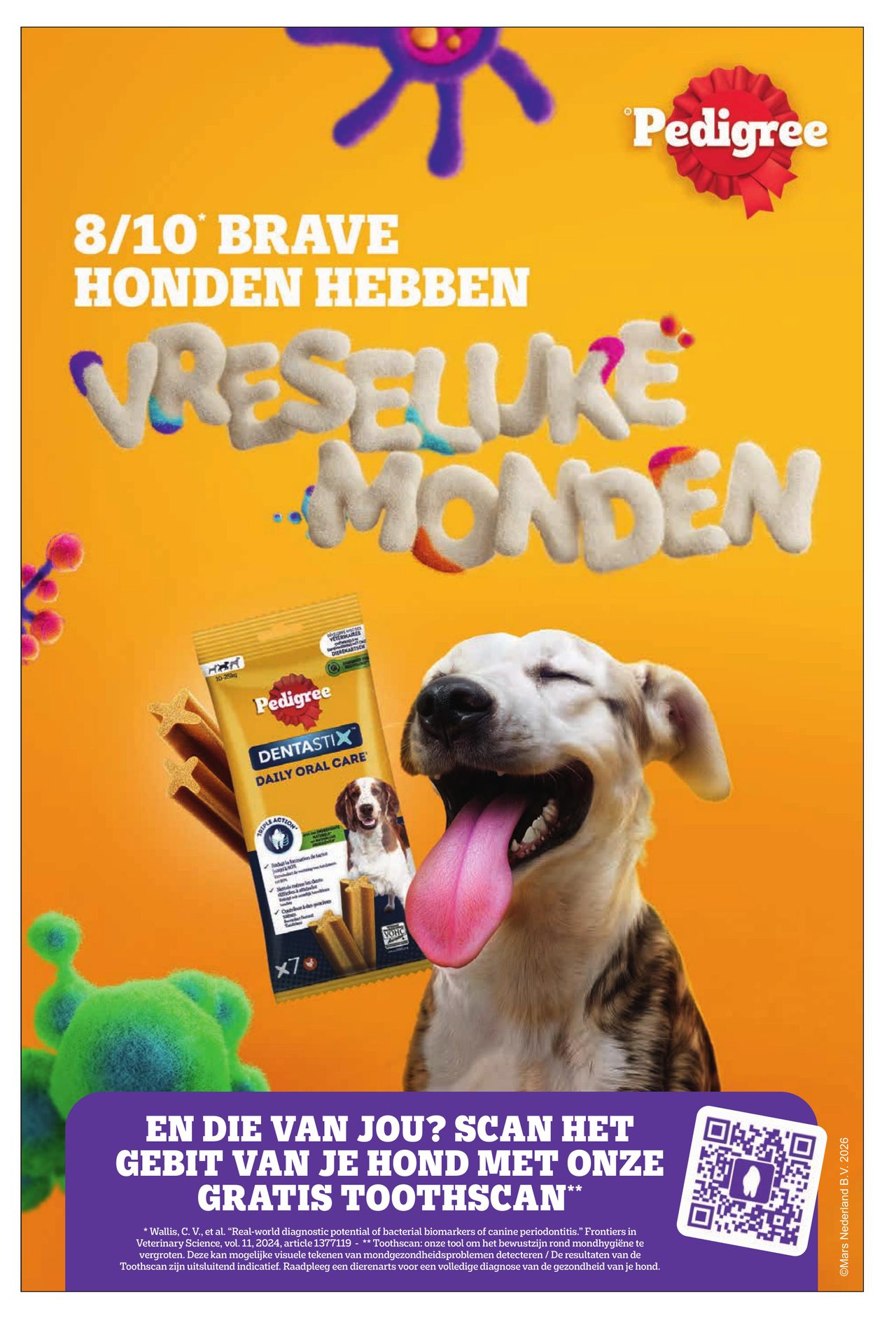 dirk - De Dirk - Lekker Doen winter folder geldig vanaf 01-01 t/m 28-02 - page: 51