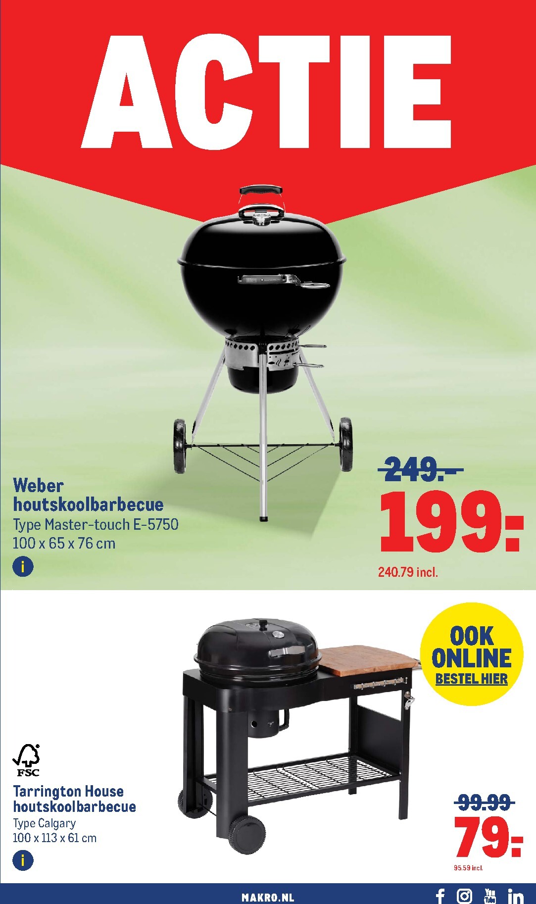 makro - De Makro - Voorjaar folder geldig vanaf 11-03-2026 t/m 07-04-2026 - page: 31