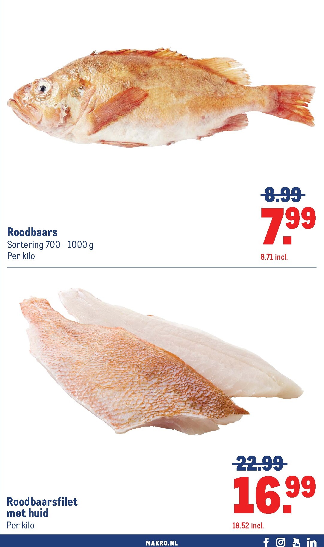 makro - De Makro folder geldig vanaf 11-03-2026 t/m 24-03-2026 - page: 21