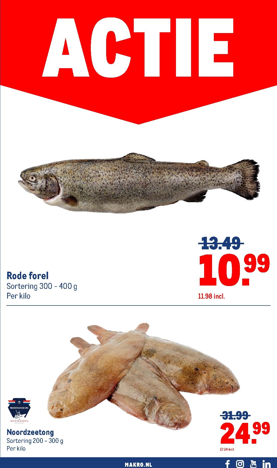 makro - De Makro - Actie folder geldig vanaf 17-03-2026 t/m 23-03-2026 - page: 5