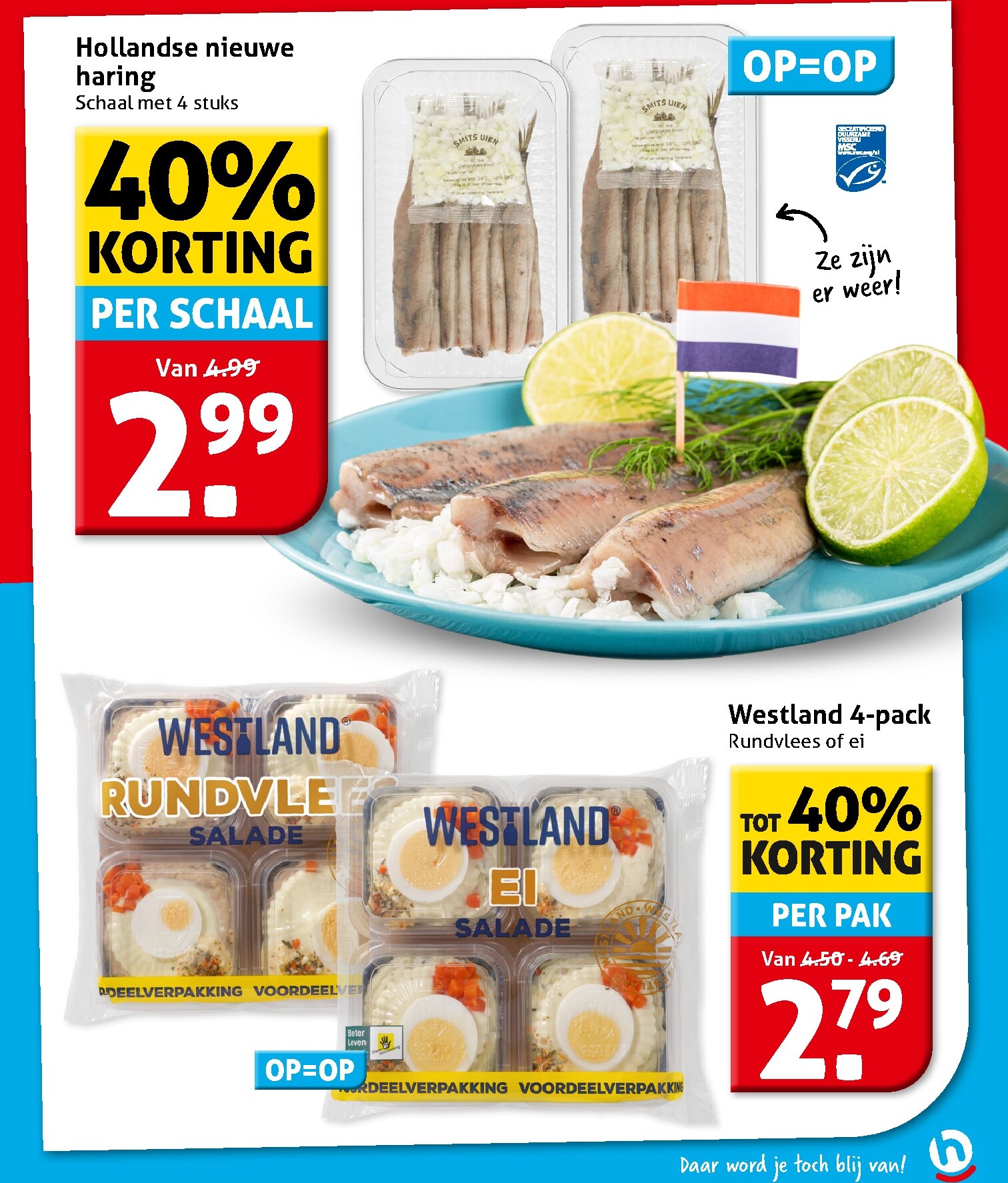 hoogvliet - Toekomstige Hoogvliet folder geldig van woensdag 17-06-2026 tot dinsdag 23-06-2026 - page: 11