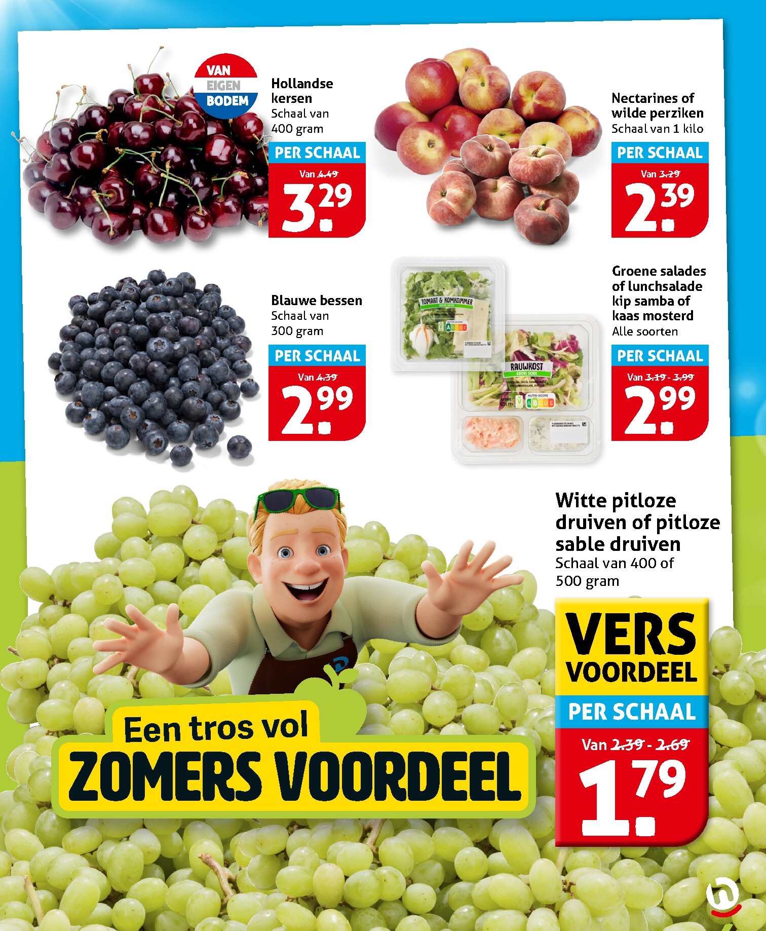 hoogvliet - Toekomstige Hoogvliet folder geldig van woensdag 22-07-2026 tot dinsdag 28-07-2026 - page: 9