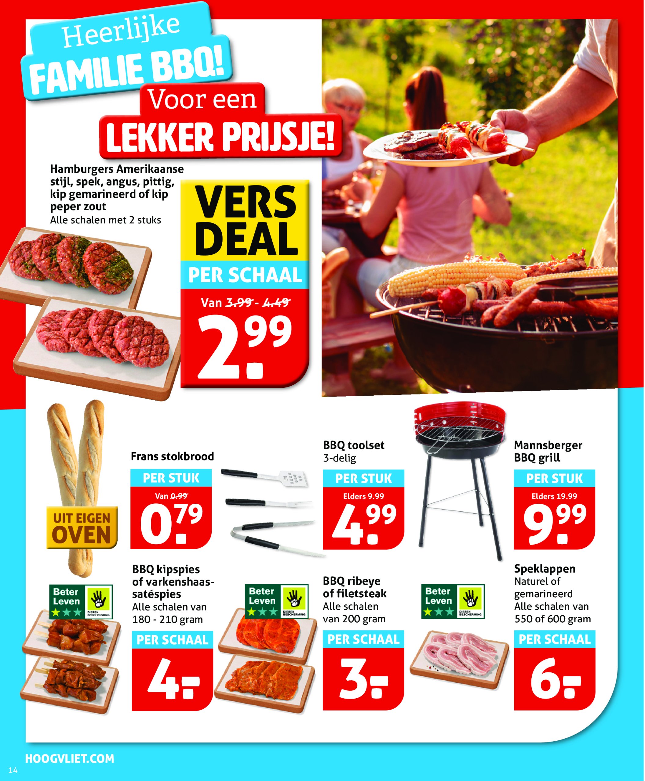 hoogvliet - Hoogvliet folder geldig vanaf 11-06 t/m 17-06 - page: 14