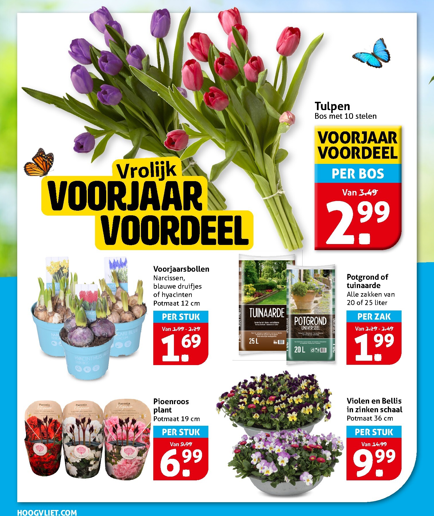 hoogvliet - De Hoogvliet folder geldig vanaf 18-03-2026 t/m 24-03-2026 - page: 24