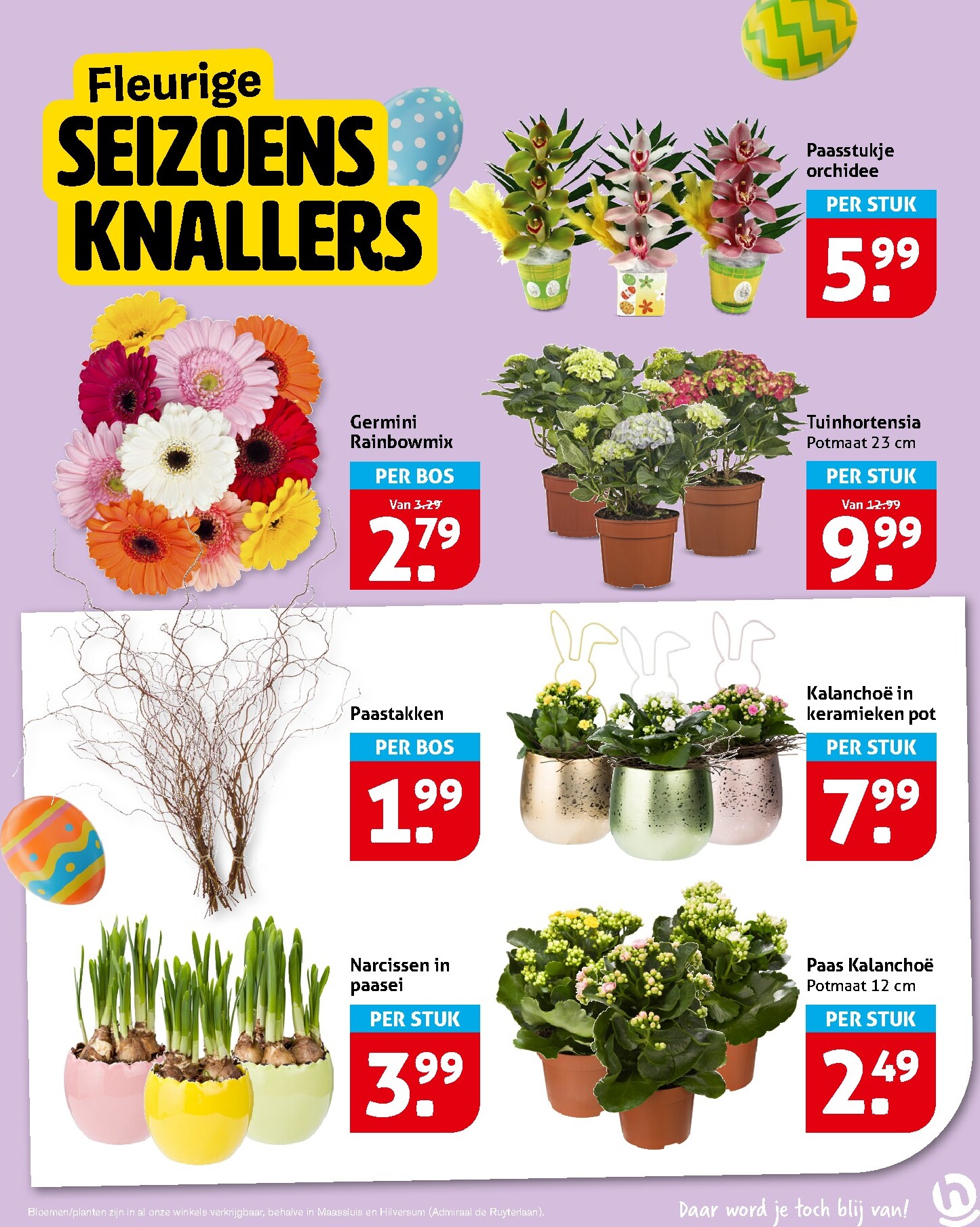 hoogvliet - De Hoogvliet folder geldig vanaf 25-03-2026 t/m 31-03-2026 - page: 15